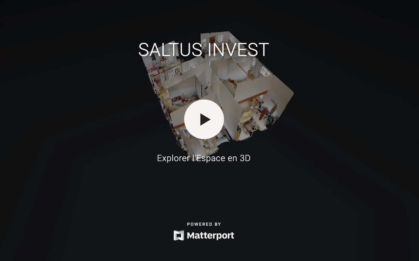 SALTUS INVEST